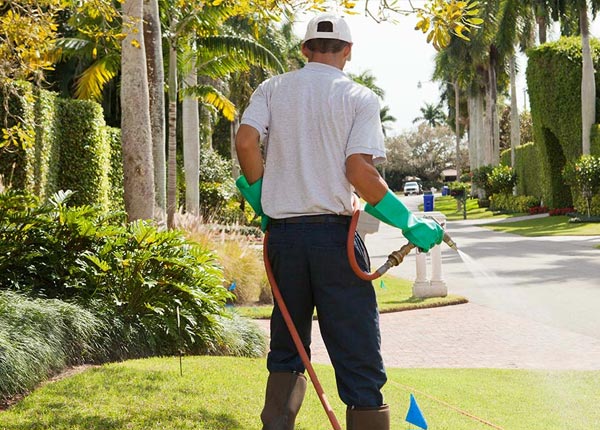 About Coquille OR Pest Control Pros